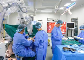 Giấy phép hành nghề điều dưỡng 2024