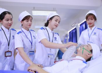 Quy định mới về chứng chỉ hành nghề điều dưỡng 2024