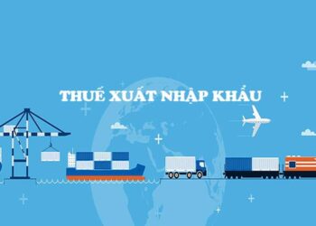 Ai chịu thuế nhập khẩu? Ai là người nộp thuế nhập khẩu?