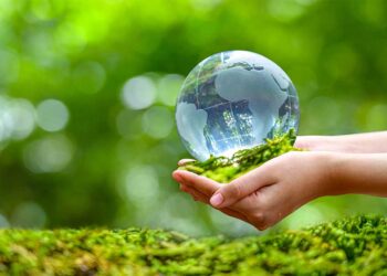 Thủ tục và hồ sơ xin cấp giấy phép môi trường