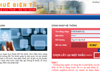 Cách tra cứu Nợ Thuế Doanh Nghiệp