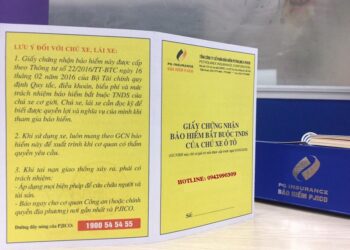 Từ chối bán bảo hiểm bắt buộc cho cá nhân, tổ chức bị phạt bao nhiêu tiền? Có bao nhiêu loại bảo hiểm bắt buộc?